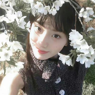 艳曲情歌